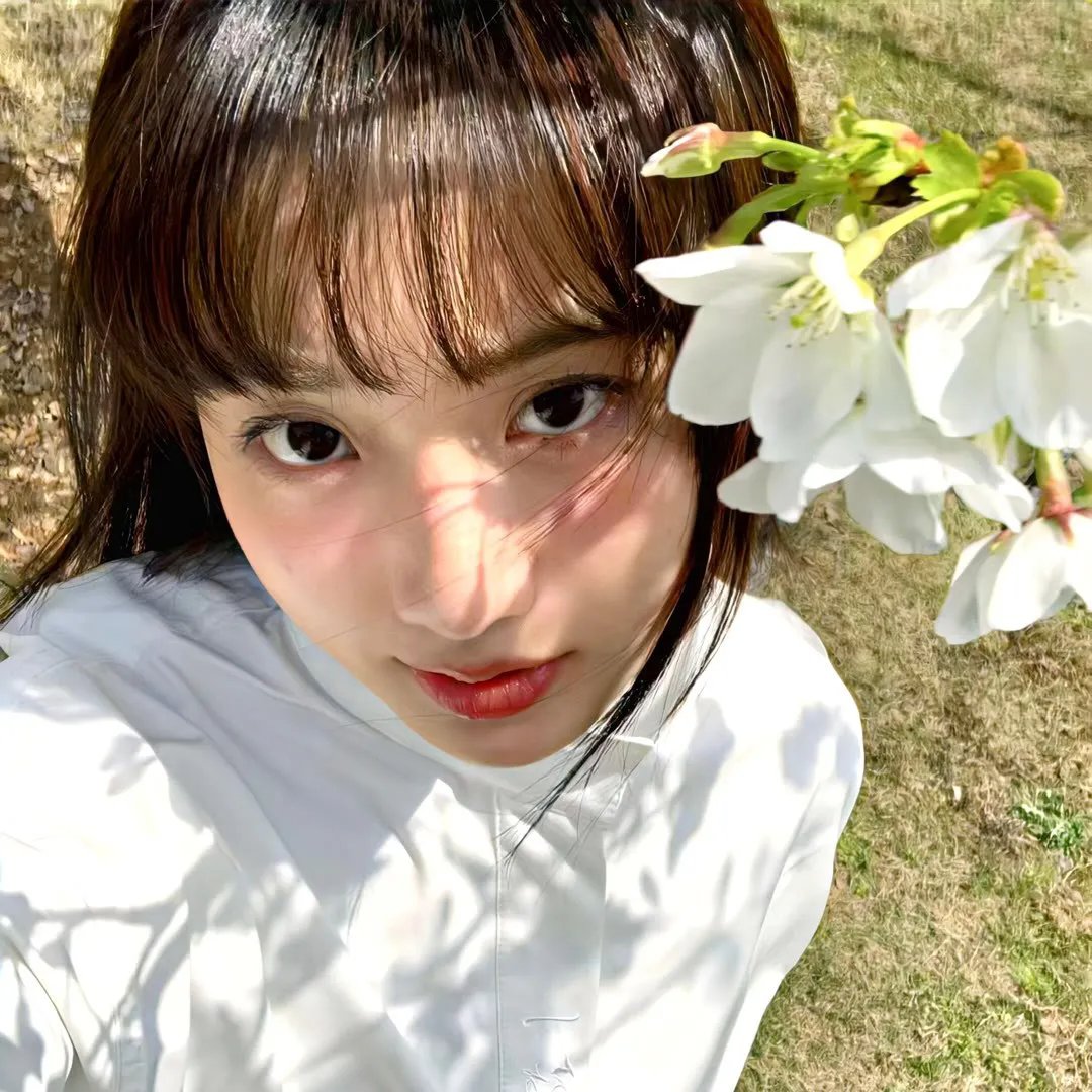 蛇形刁手斗螳螂