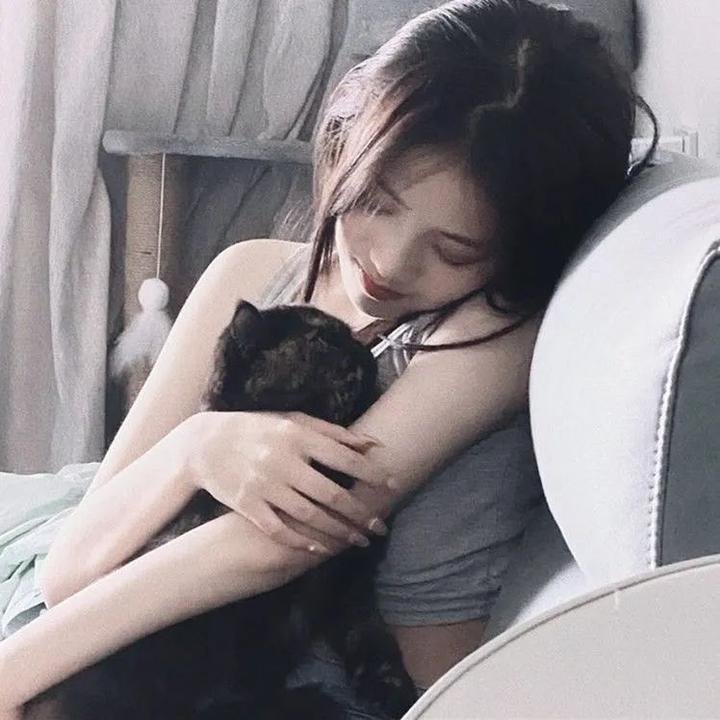 狮子护卫队第一季